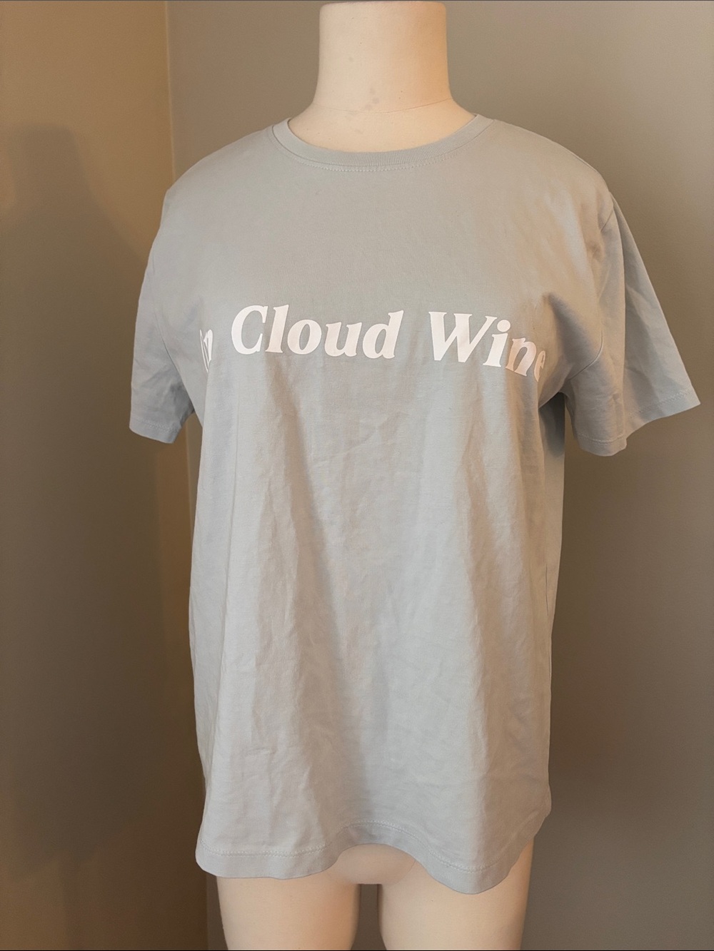Brunette The Label “On Cloud Wine” Short Sleeve Tee in Pale Blue Sz XS/S